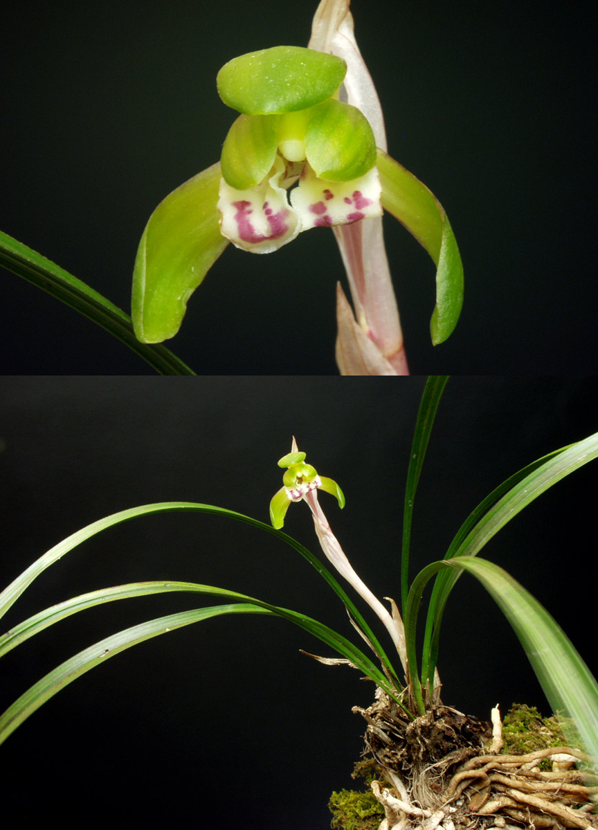 ������ ū������ �� �� �ֽ��ϴ�.