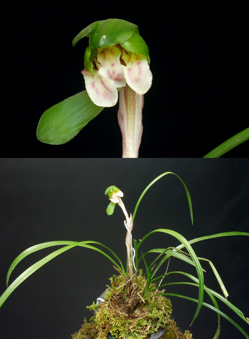 ������ ū������ �� �� �ֽ��ϴ�.