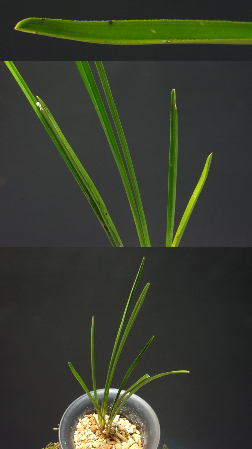 ������ ū������ �� �� �ֽ��ϴ�.