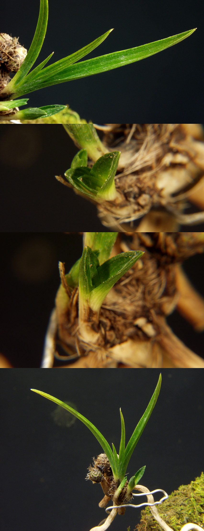 ������ ū������ �� �� �ֽ��ϴ�.