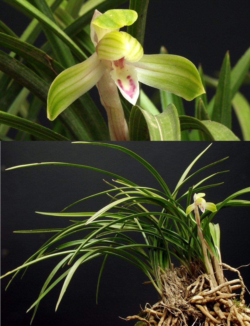 ������ ū������ �� �� �ֽ��ϴ�.