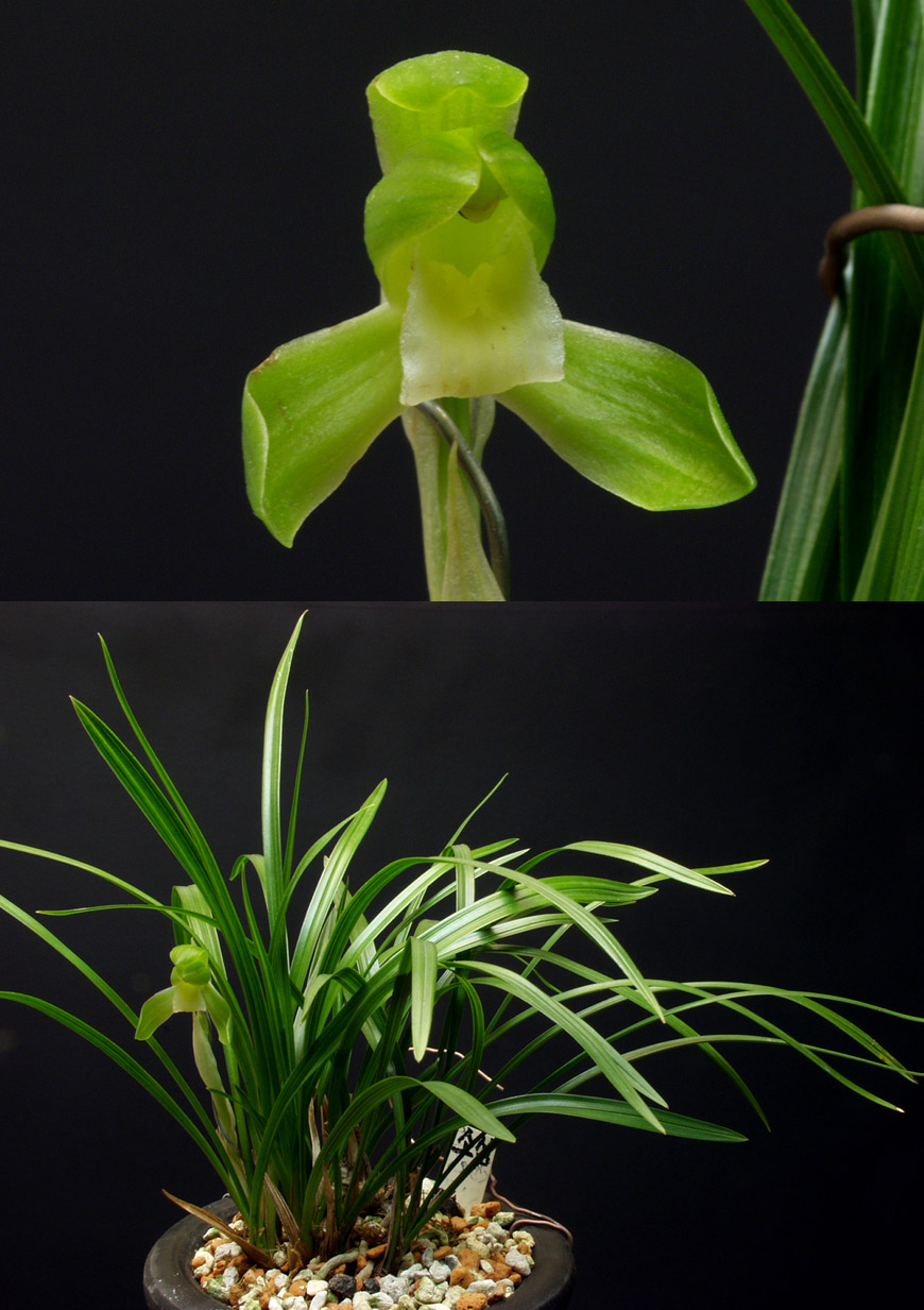 ������ ū������ �� �� �ֽ��ϴ�.