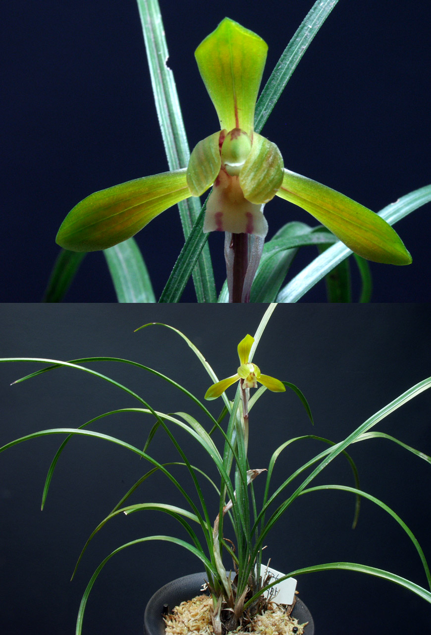 ������ ū������ �� �� �ֽ��ϴ�.