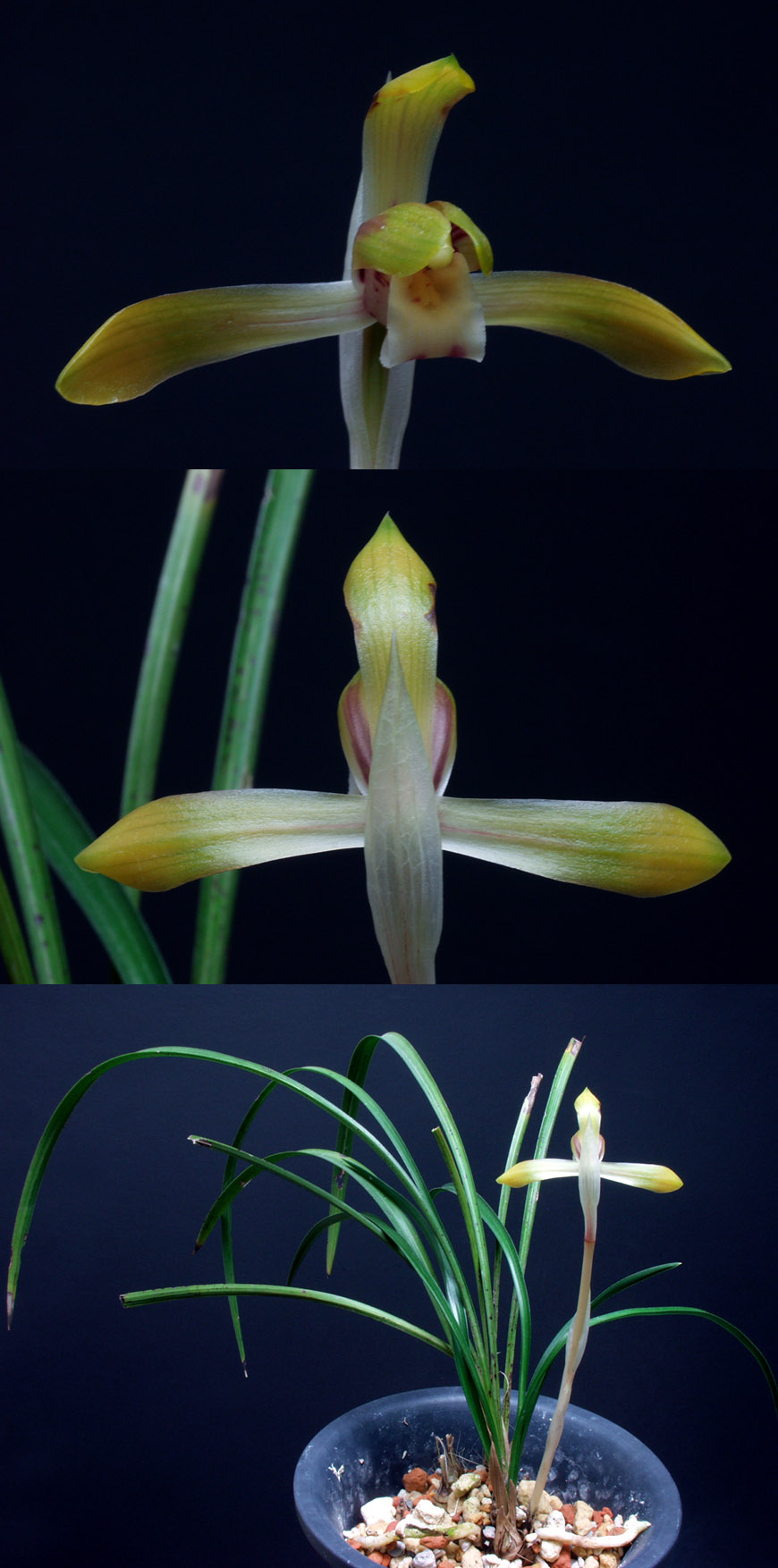 ������ ū������ �� �� �ֽ��ϴ�.