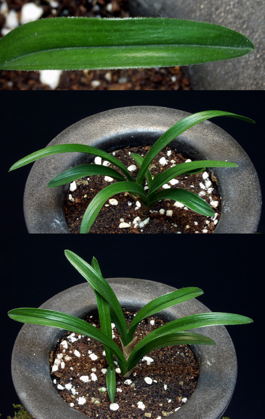 ������ ū������ �� �� �ֽ��ϴ�.