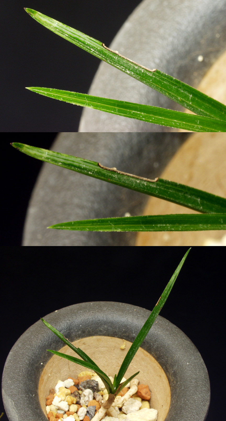 ������ ū������ �� �� �ֽ��ϴ�.