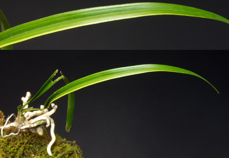 ������ ū������ �� �� �ֽ��ϴ�.