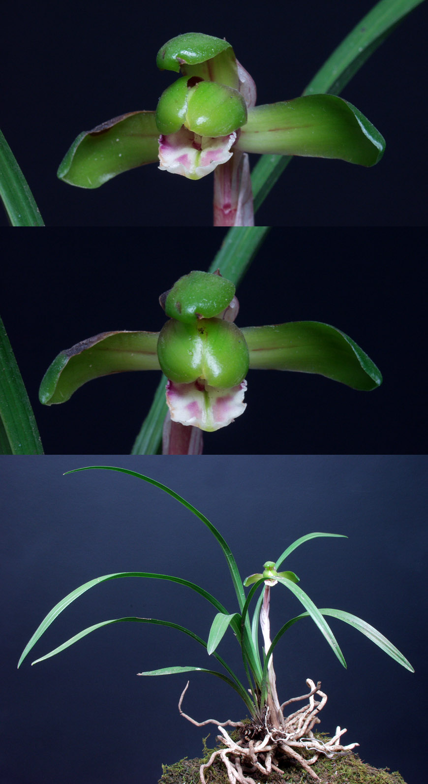 ������ ū������ �� �� �ֽ��ϴ�.