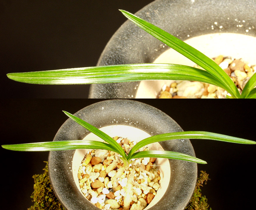 ������ ū������ �� �� �ֽ��ϴ�.