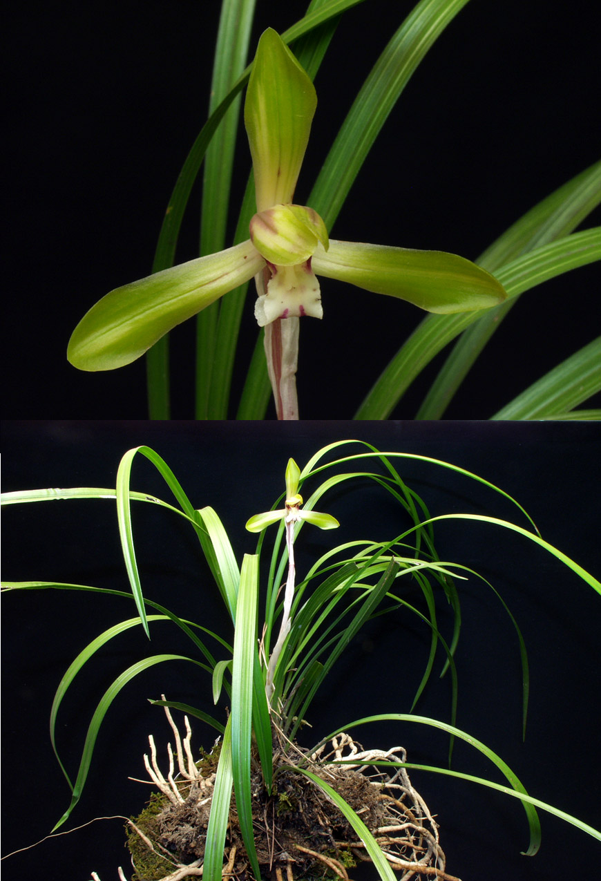 ������ ū������ �� �� �ֽ��ϴ�.