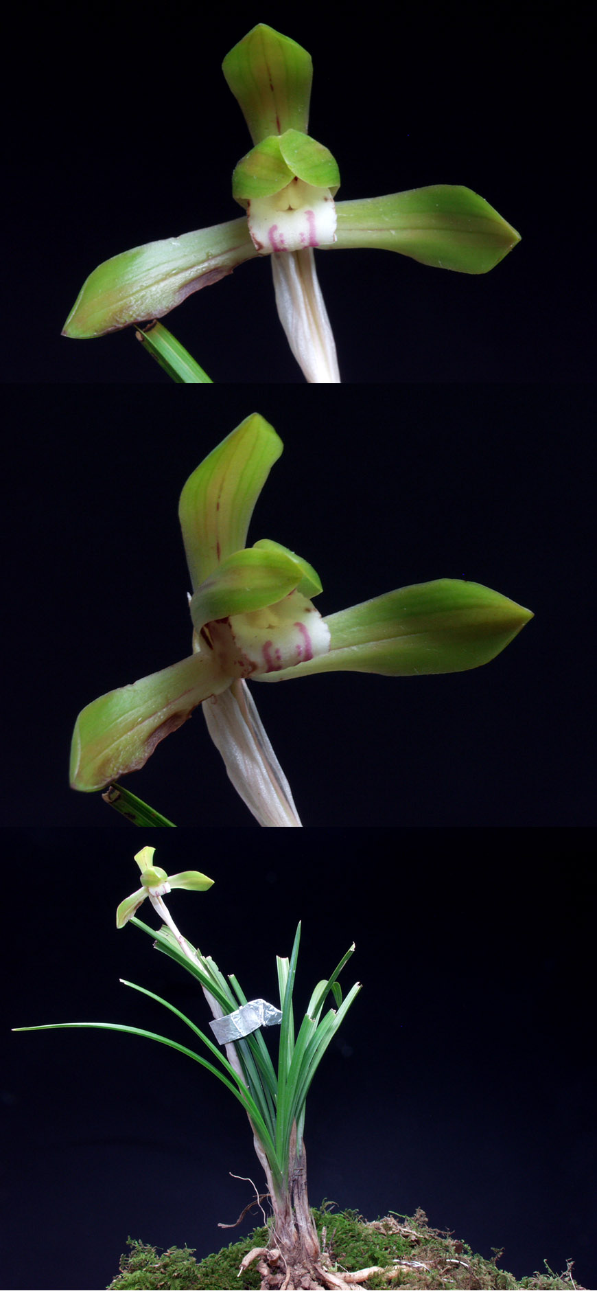 ������ ū������ �� �� �ֽ��ϴ�.