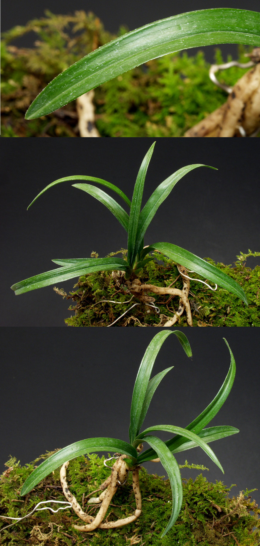 ������ ū������ �� �� �ֽ��ϴ�.