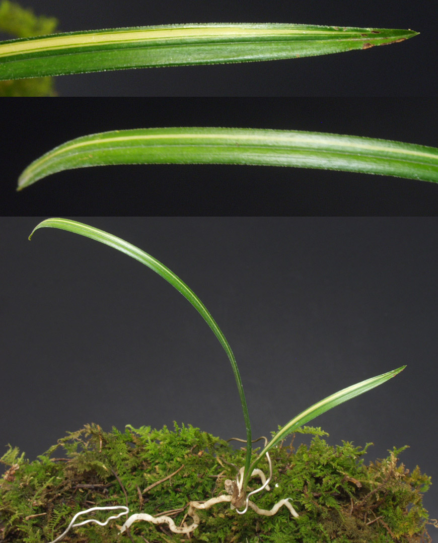 ������ ū������ �� �� �ֽ��ϴ�.