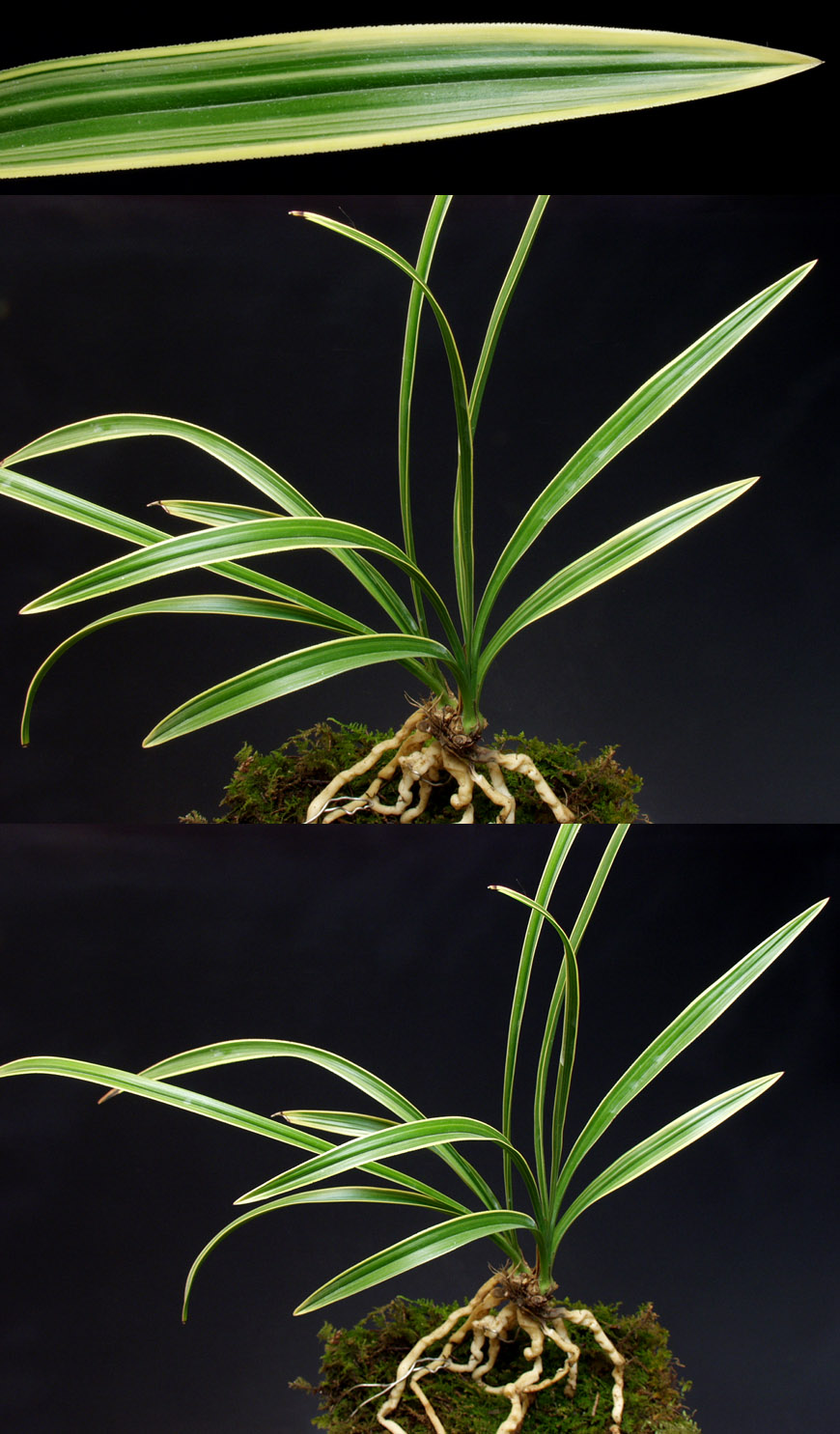 ������ ū������ �� �� �ֽ��ϴ�.