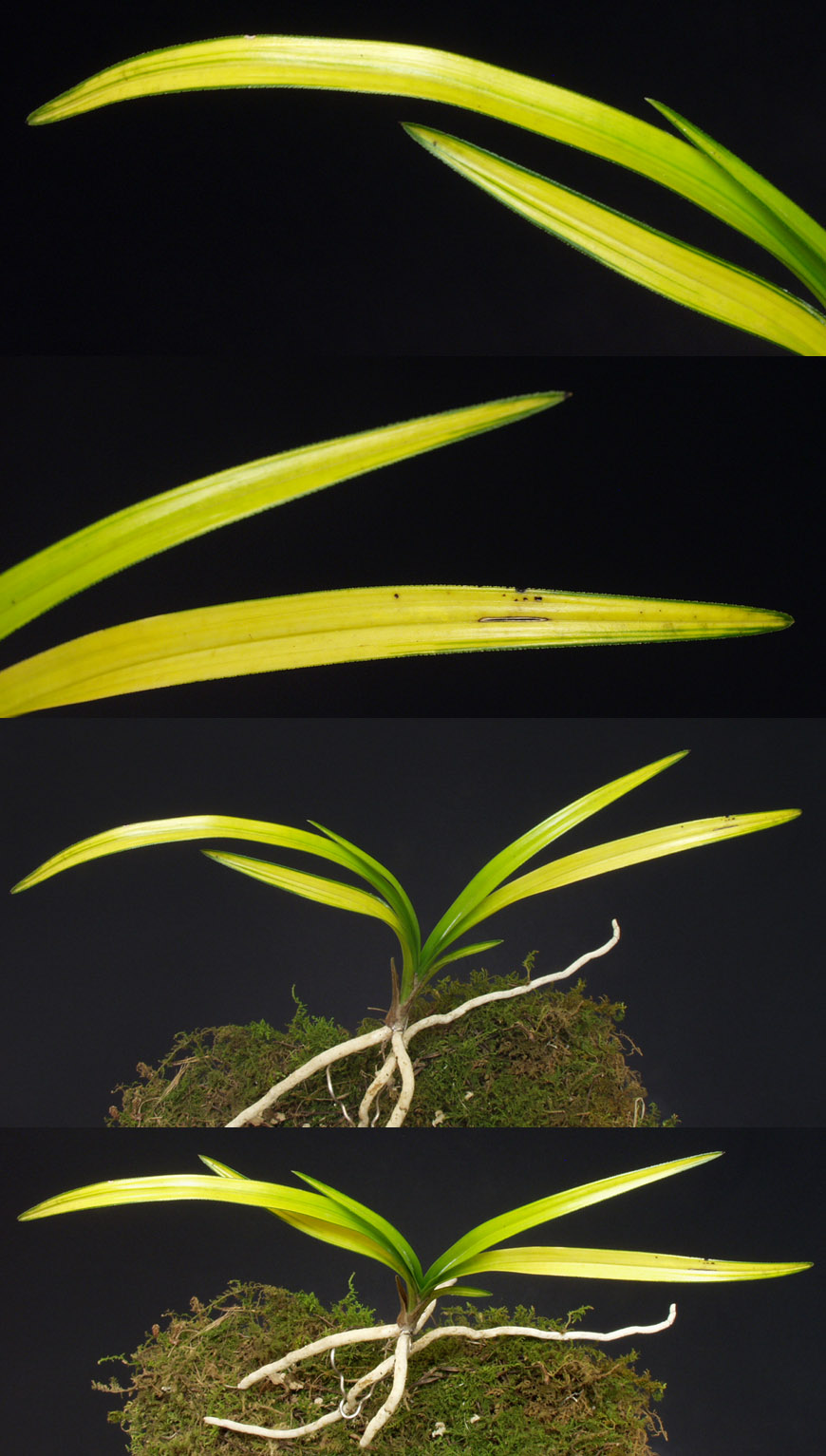 ������ ū������ �� �� �ֽ��ϴ�.