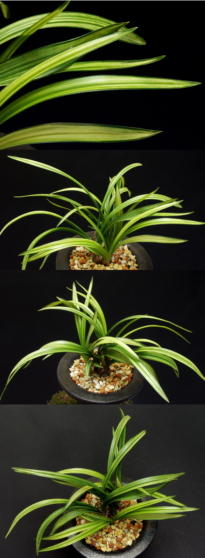 ������ ū������ �� �� �ֽ��ϴ�.