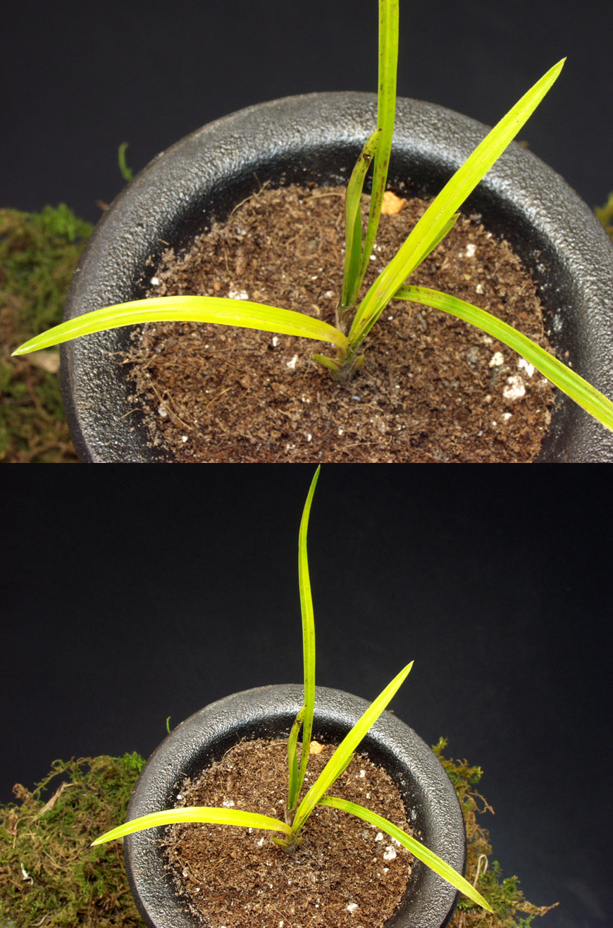 ������ ū������ �� �� �ֽ��ϴ�.