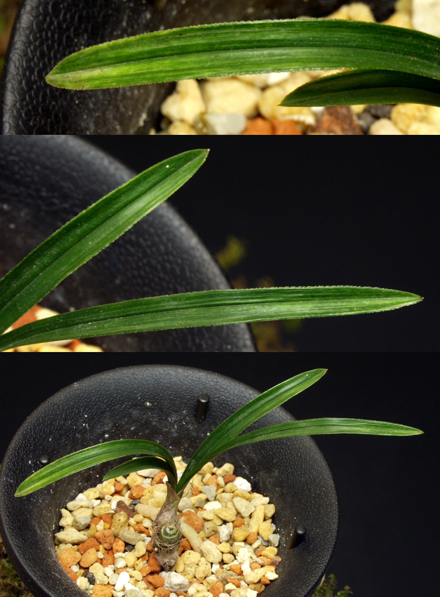 ������ ū������ �� �� �ֽ��ϴ�.