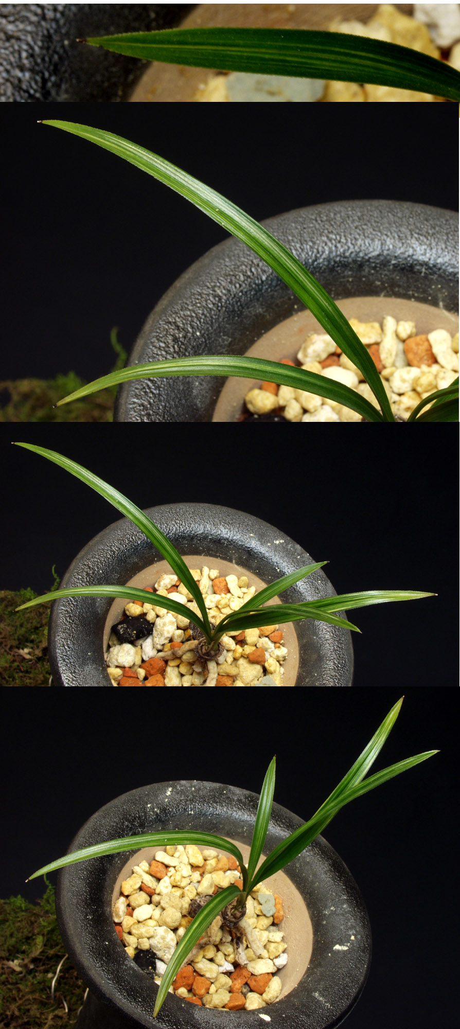 ������ ū������ �� �� �ֽ��ϴ�.