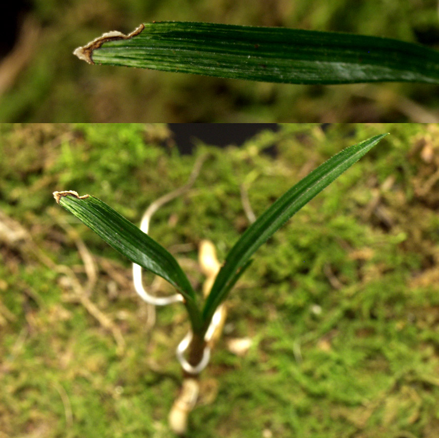 ������ ū������ �� �� �ֽ��ϴ�.