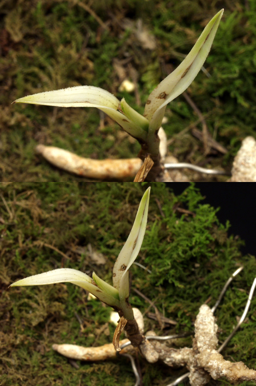 ������ ū������ �� �� �ֽ��ϴ�.