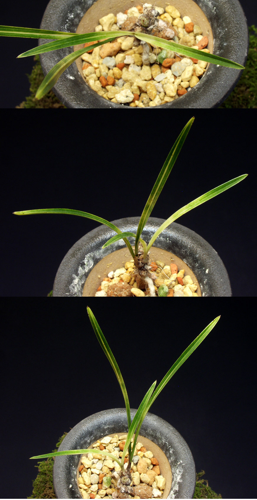 ������ ū������ �� �� �ֽ��ϴ�.