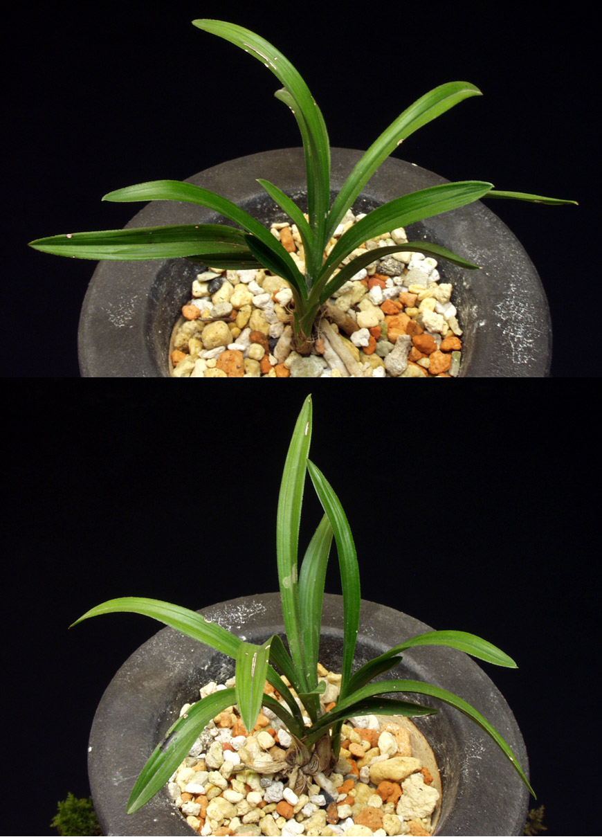 ������ ū������ �� �� �ֽ��ϴ�.