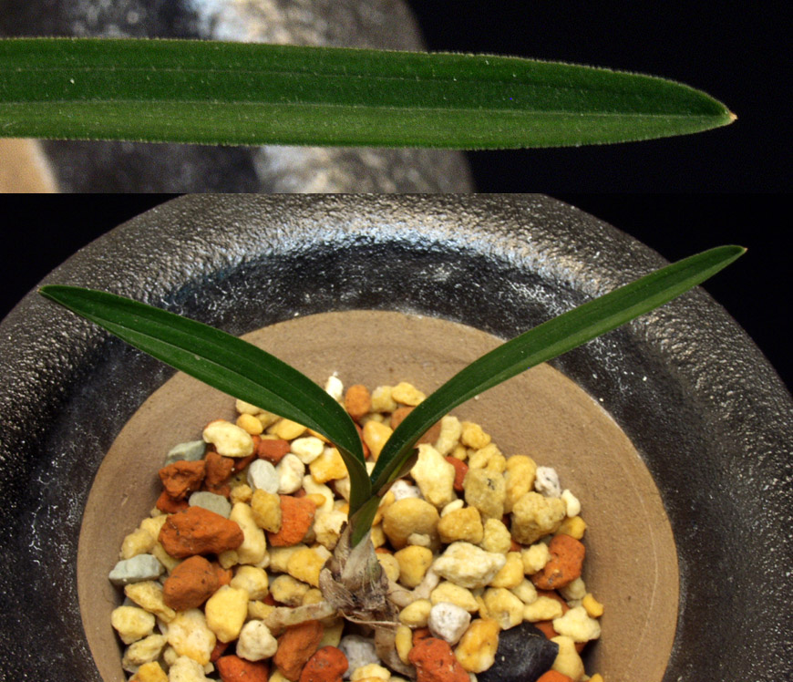 ������ ū������ �� �� �ֽ��ϴ�.