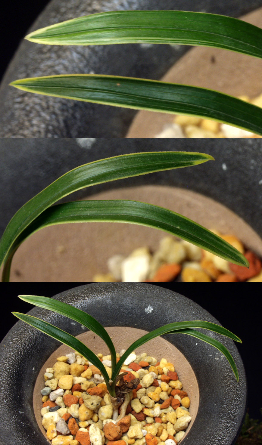 ������ ū������ �� �� �ֽ��ϴ�.