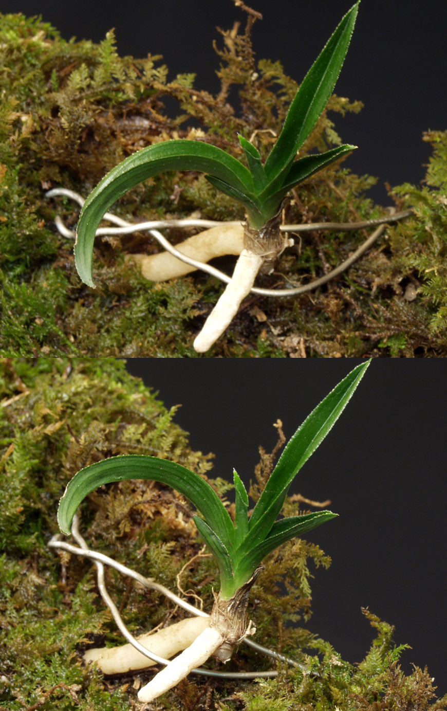 ������ ū������ �� �� �ֽ��ϴ�.