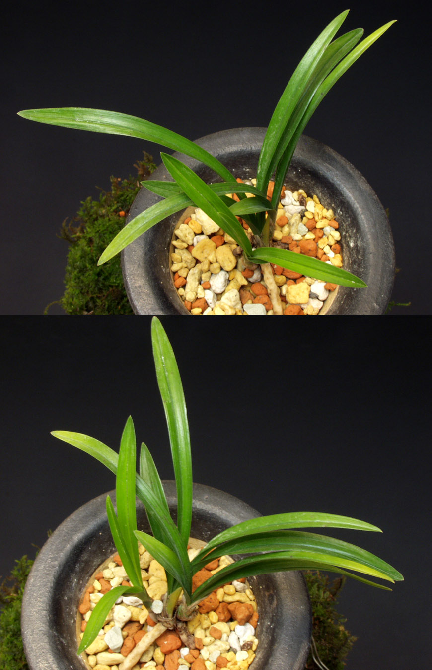 ������ ū������ �� �� �ֽ��ϴ�.