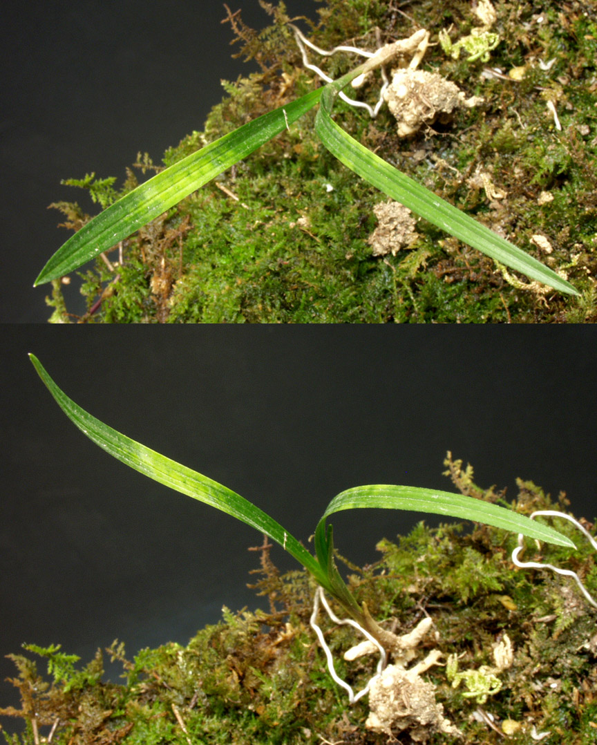 ������ ū������ �� �� �ֽ��ϴ�.