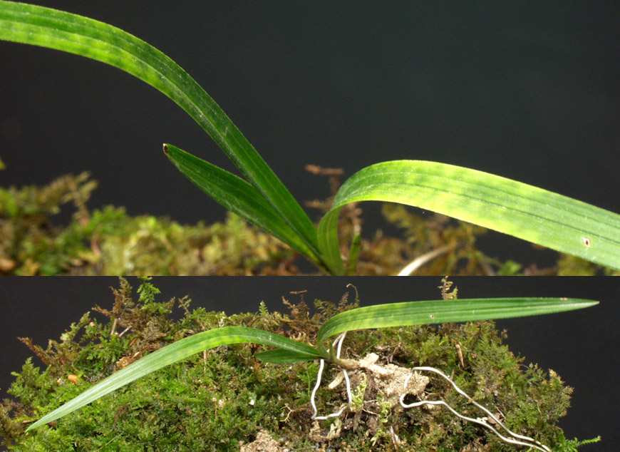 ������ ū������ �� �� �ֽ��ϴ�.