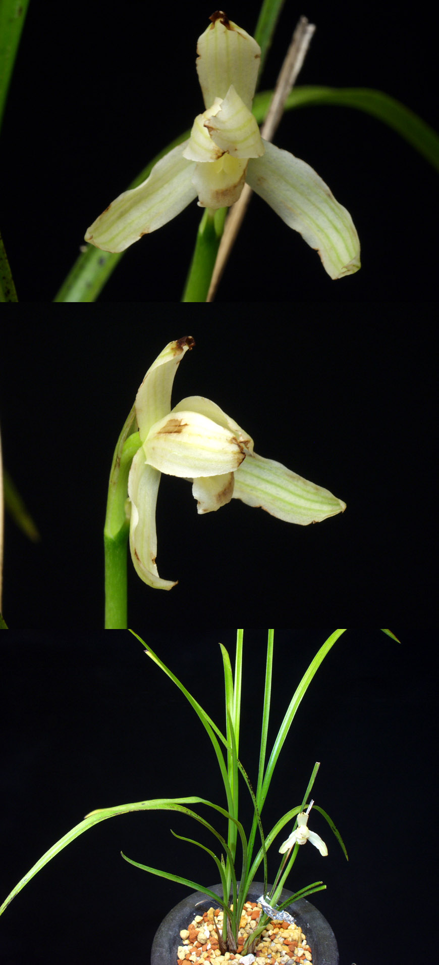 ������ ū������ �� �� �ֽ��ϴ�.