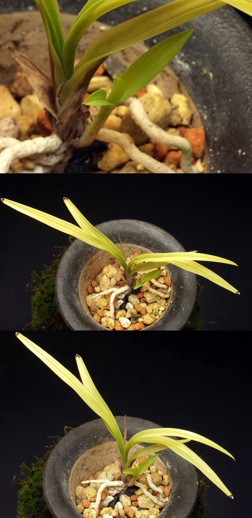 ������ ū������ �� �� �ֽ��ϴ�.