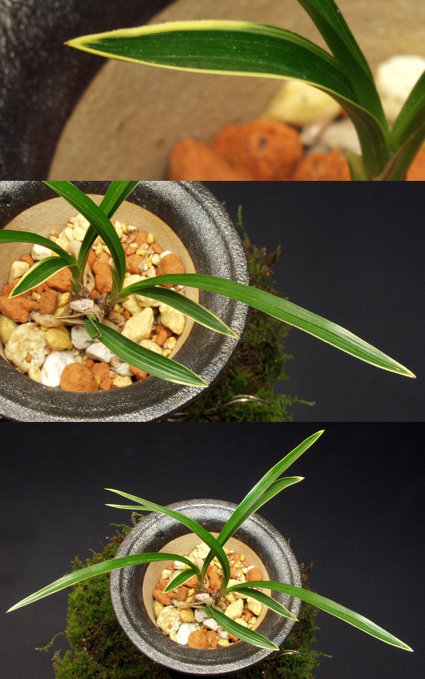 ������ ū������ �� �� �ֽ��ϴ�.