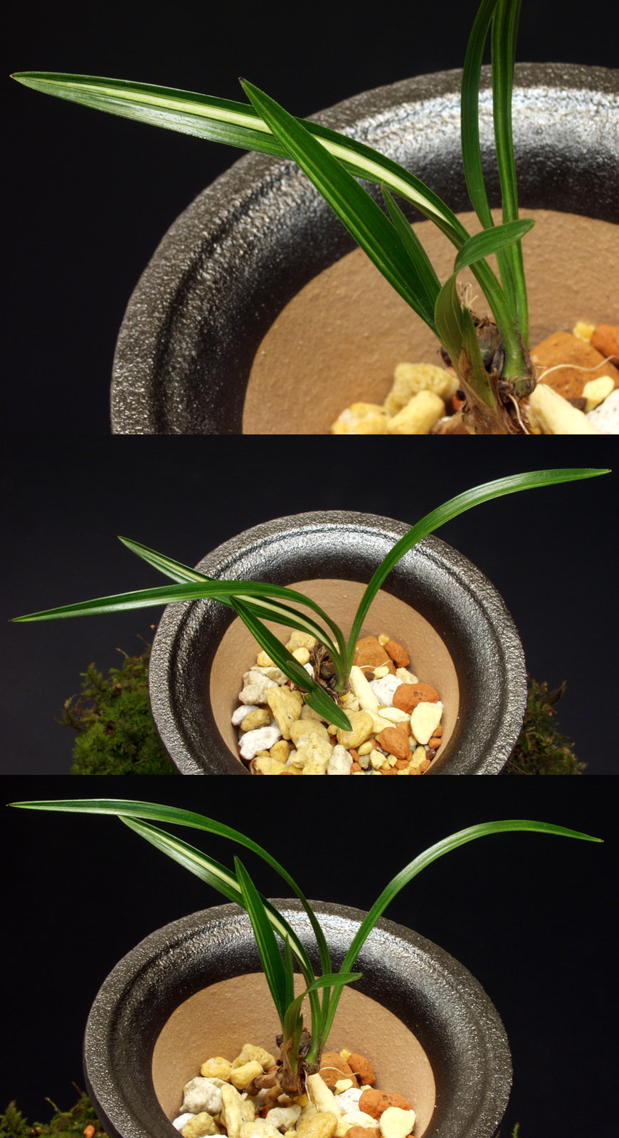 ������ ū������ �� �� �ֽ��ϴ�.