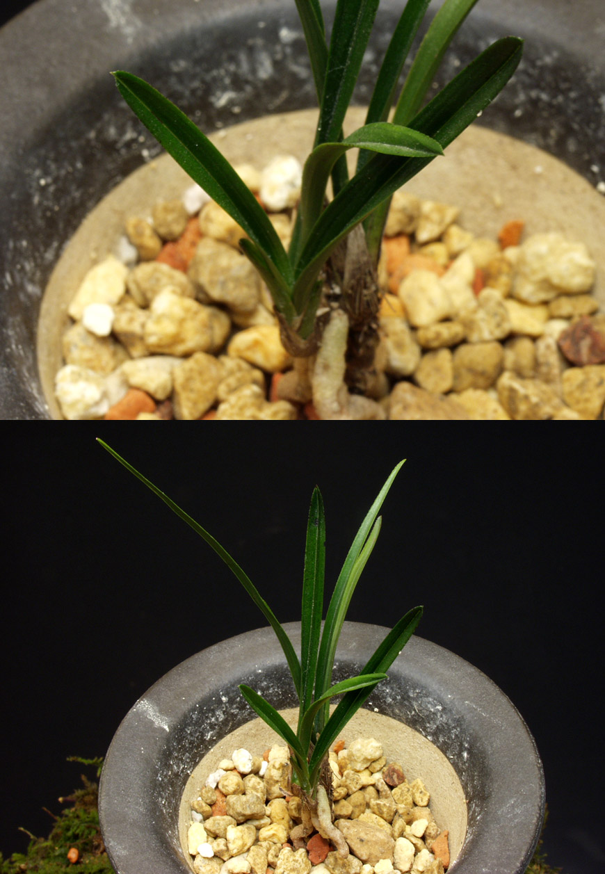 ������ ū������ �� �� �ֽ��ϴ�.