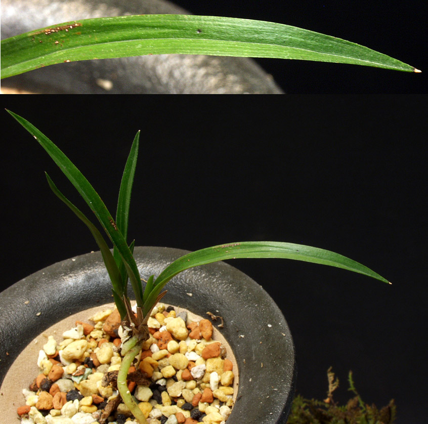 ������ ū������ �� �� �ֽ��ϴ�.