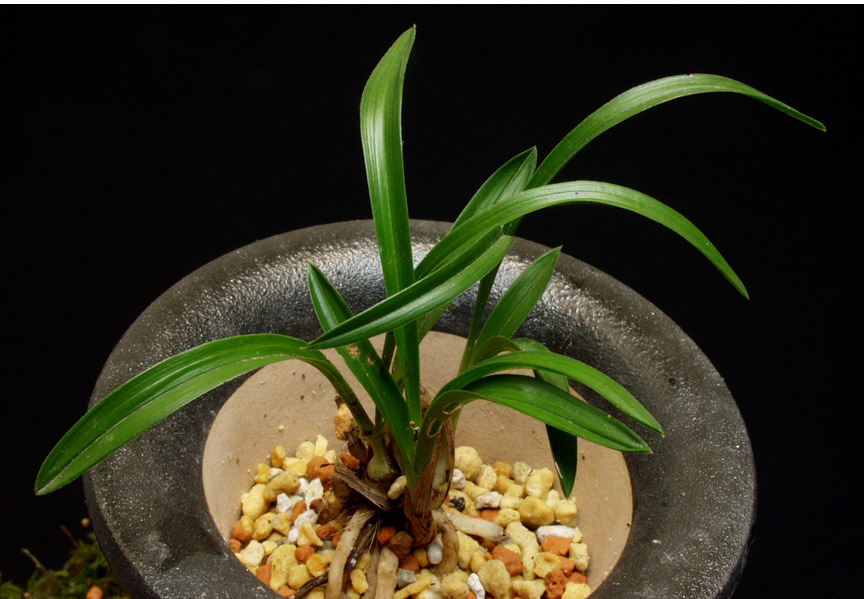 ������ ū������ �� �� �ֽ��ϴ�.