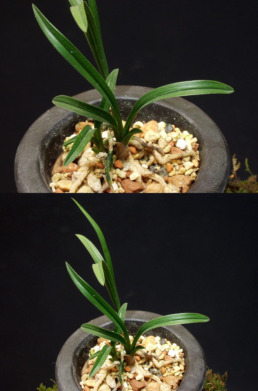 ������ ū������ �� �� �ֽ��ϴ�.