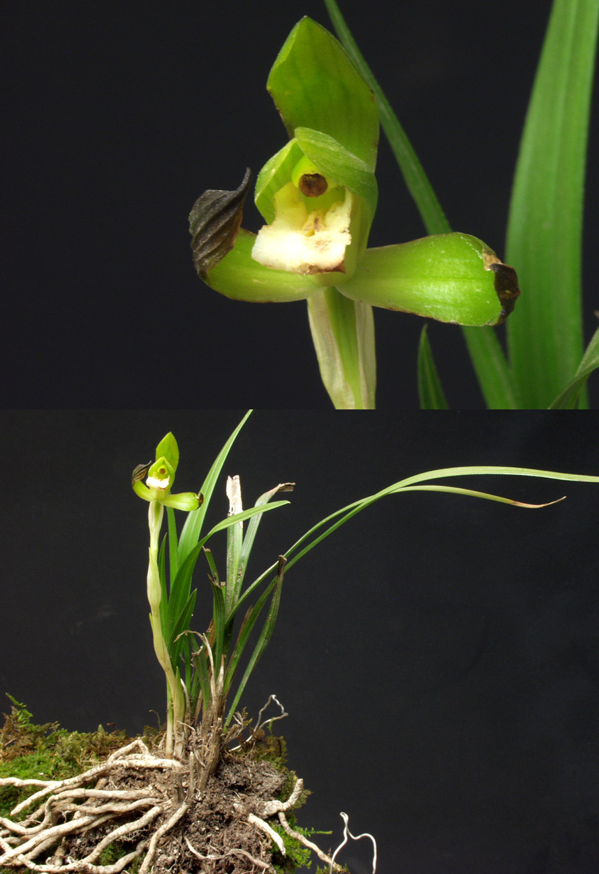 ������ ū������ �� �� �ֽ��ϴ�.