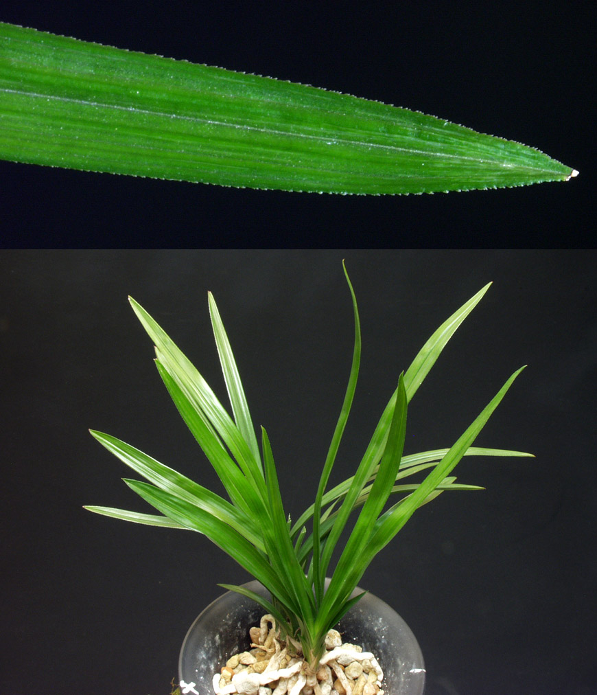 ������ ū������ �� �� �ֽ��ϴ�.