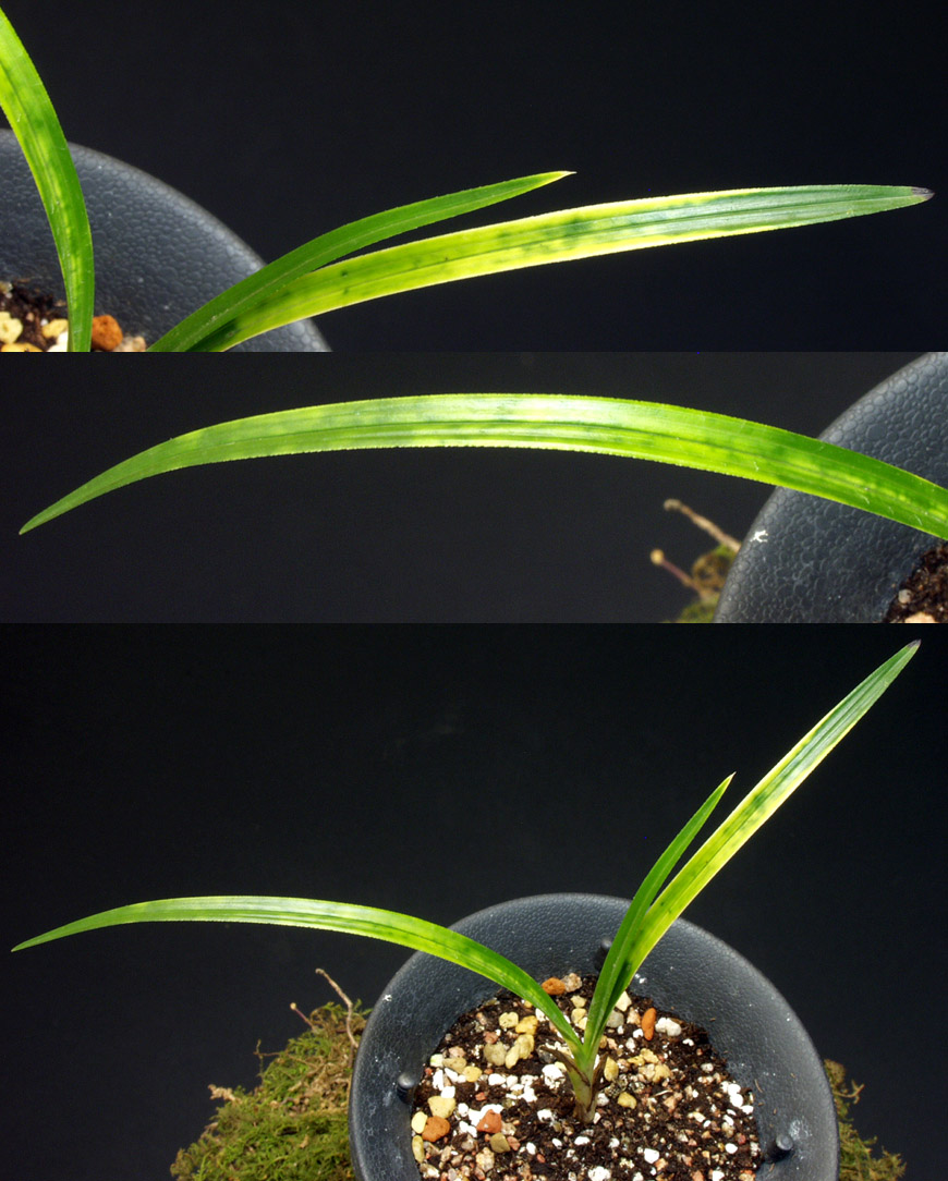 ������ ū������ �� �� �ֽ��ϴ�.