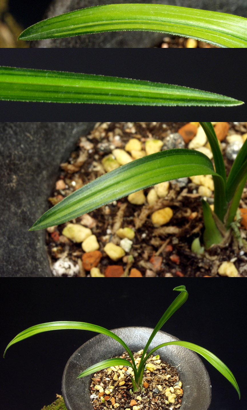 ������ ū������ �� �� �ֽ��ϴ�.