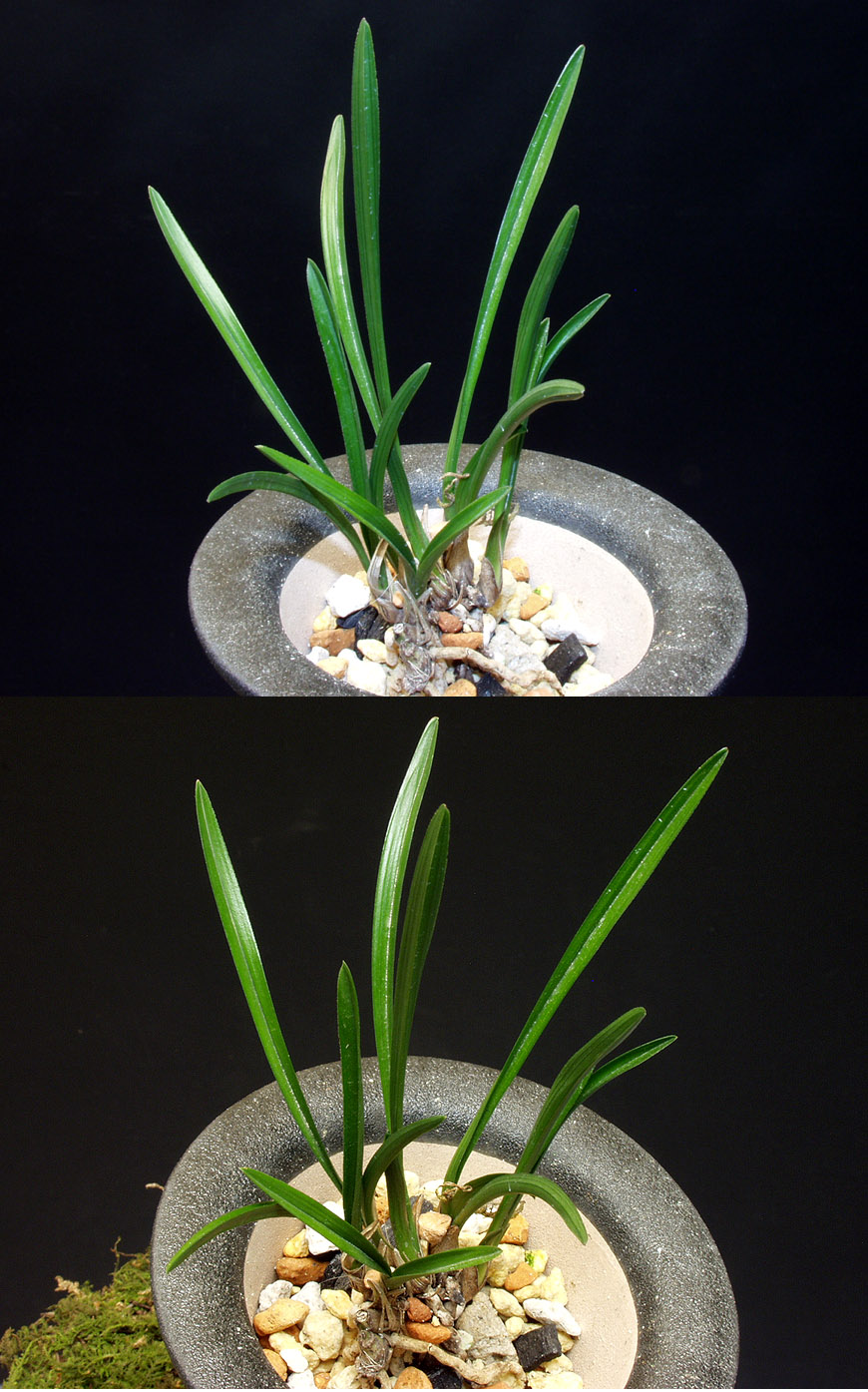 ������ ū������ �� �� �ֽ��ϴ�.