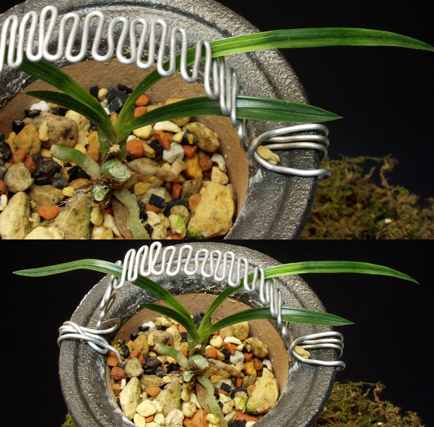 ������ ū������ �� �� �ֽ��ϴ�.