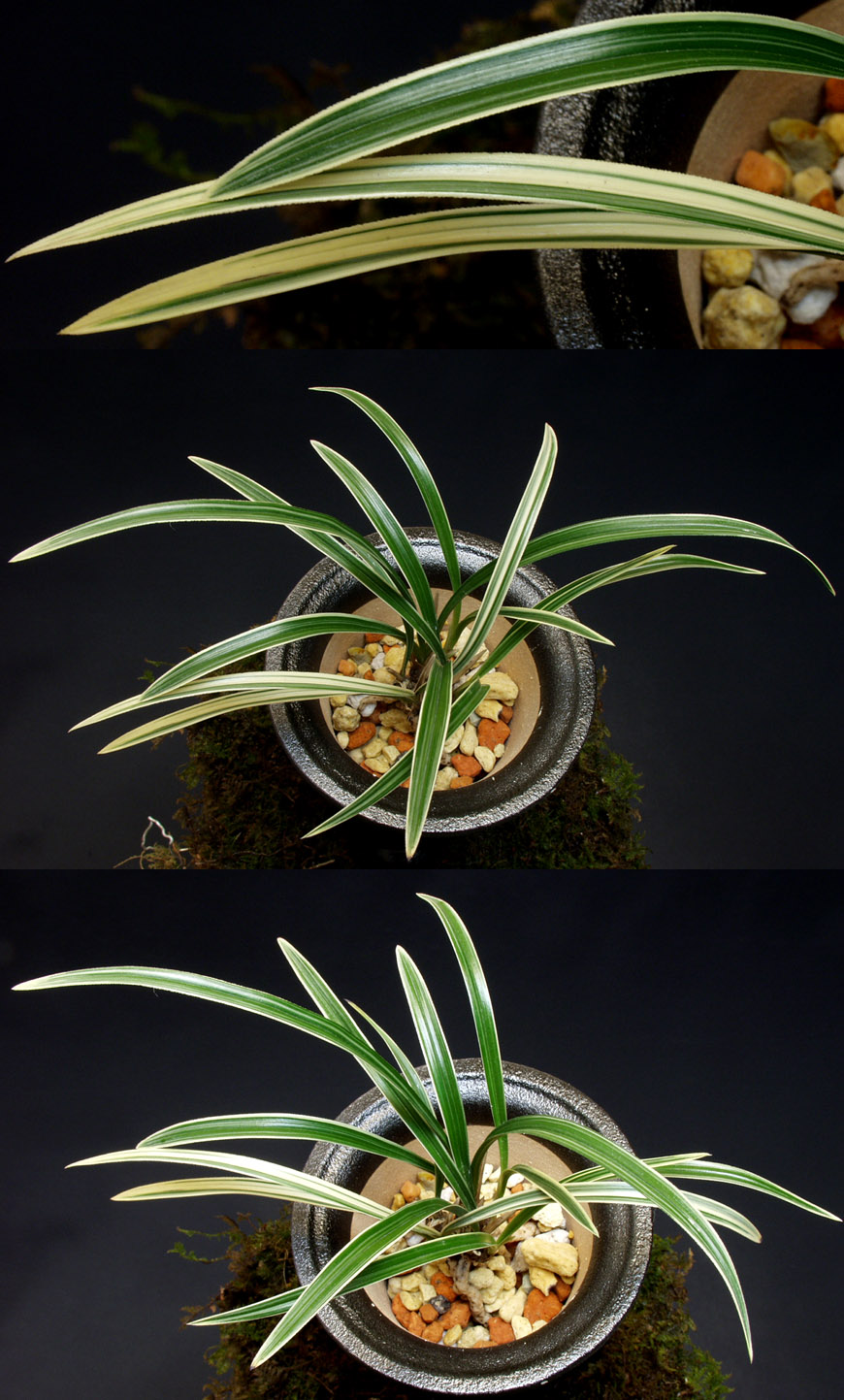 ������ ū������ �� �� �ֽ��ϴ�.