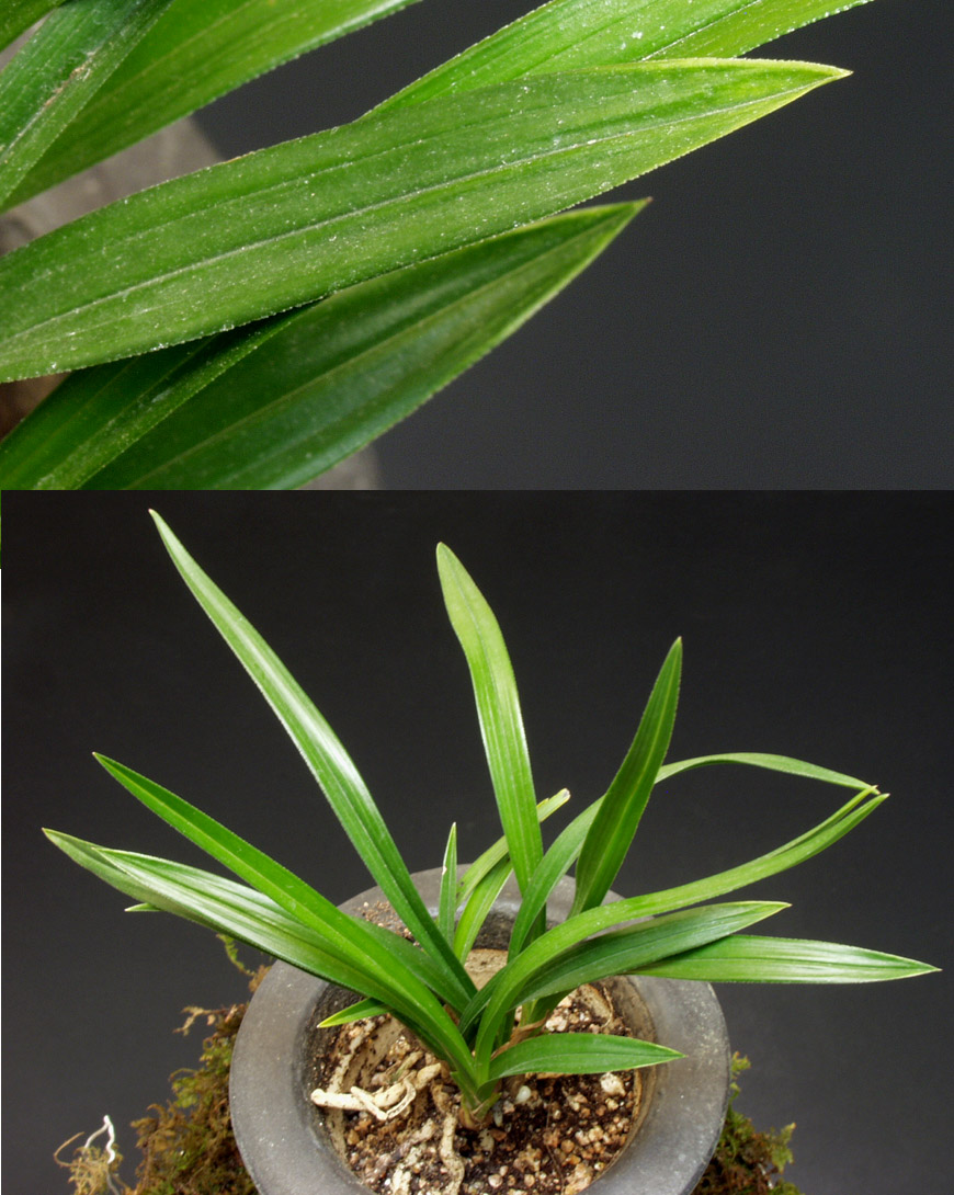 ������ ū������ �� �� �ֽ��ϴ�.