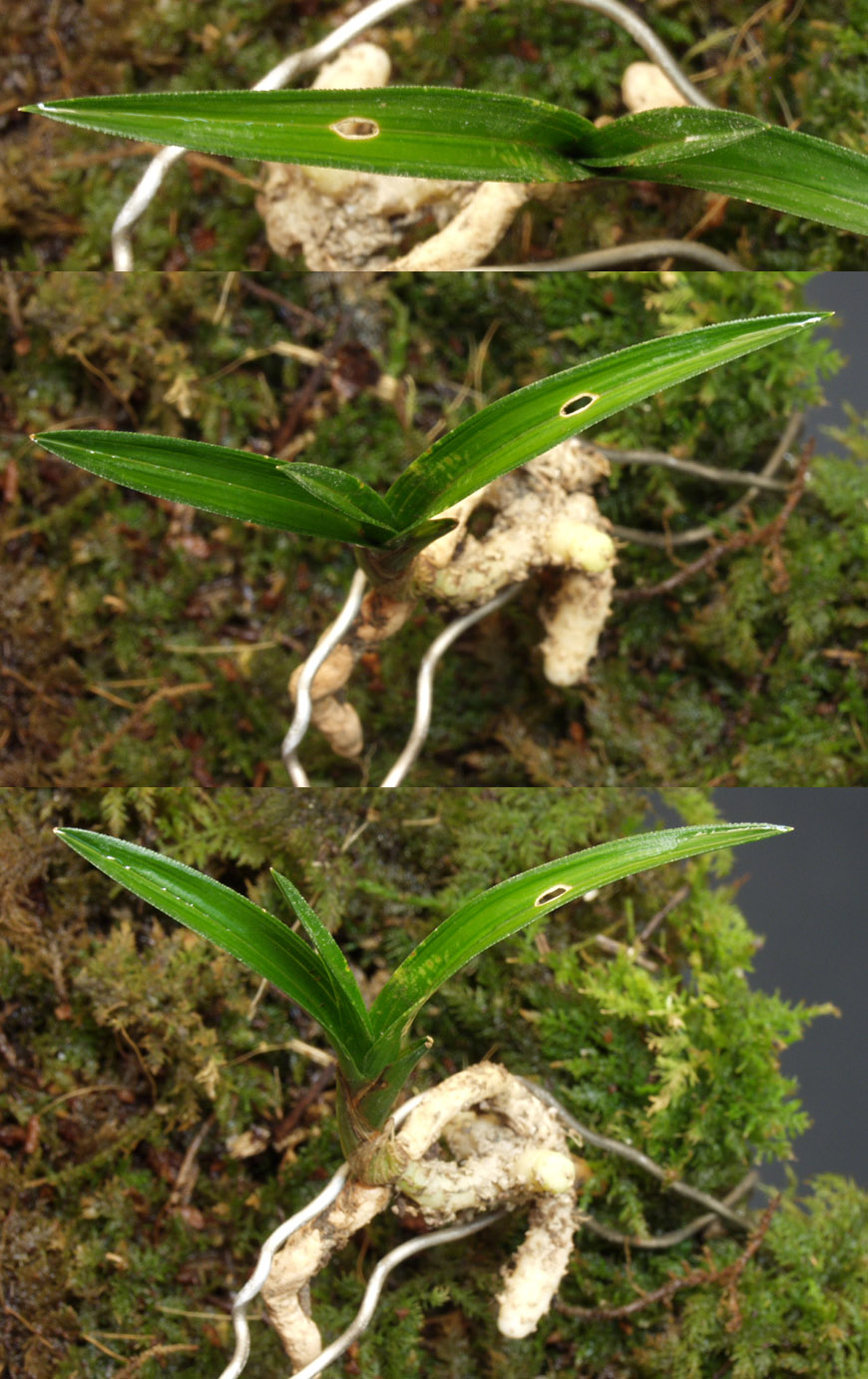 ������ ū������ �� �� �ֽ��ϴ�.